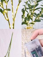 Lunelia™  Enchanted Evergreen Olive Branch