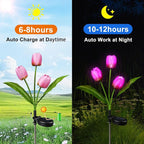 Lunelia™ Solar Tulip Lights – 3 stems with 12 glowing tulips