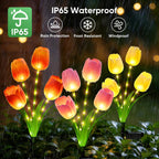 Lunelia™ Solar Tulip Lights – 3 stems with 12 glowing tulips