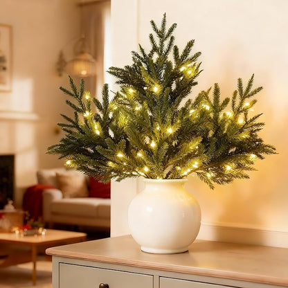 Lunelia™ Enchanted Evergreen Pine