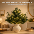 Lunelia™ Enchanted Evergreen Pine