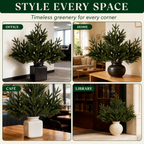 Lunelia™ Enchanted Evergreen Pine